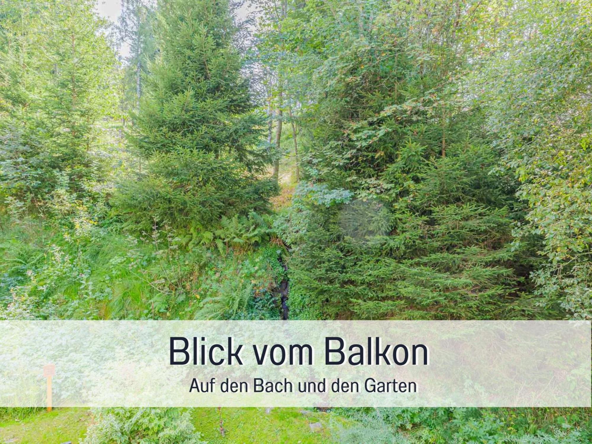 Baechle Im Wanderparadies Balkon Mit Blick Auf Den Bach Sauna Im Haus Tiefgarage E-Ladestation トートナウベルク エクステリア 写真